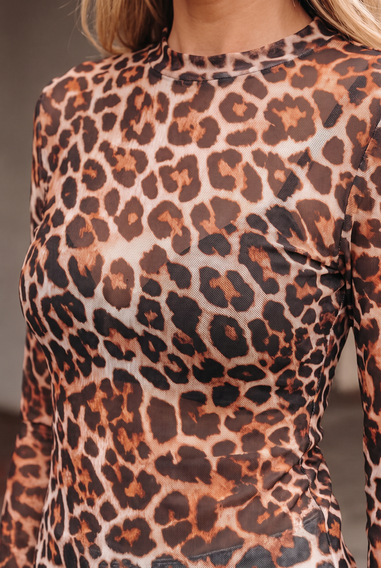 Wild Side Leopard Mesh Top